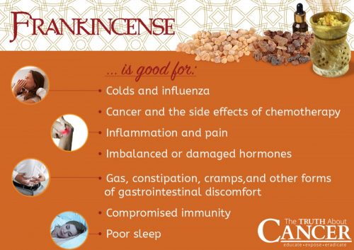Frankincense for Cancer