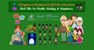 best organic essential oil