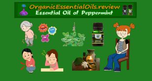 best peppermint essential oil
