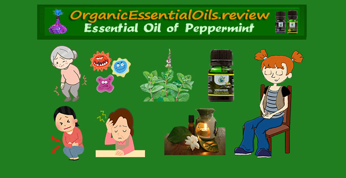 best peppermint essential oil