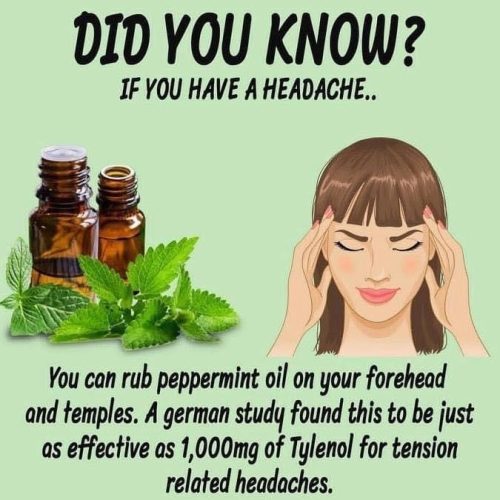 peppermint essential oil for headaches