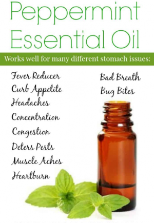 Peppermint Essential Oil Uses