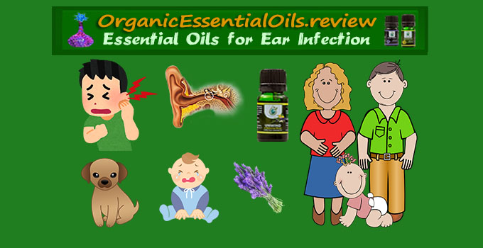 best essential oils for ear infection