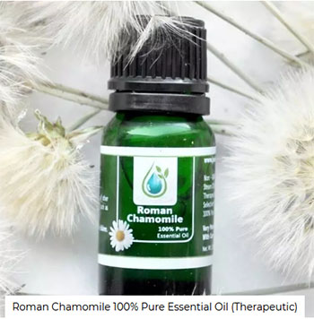 roman chamomile essential oil