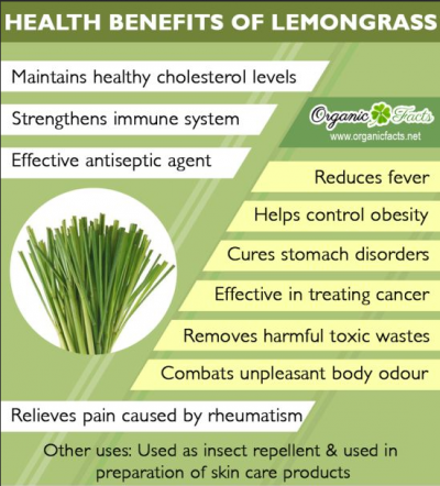 health benefits of lemongrass essential oil