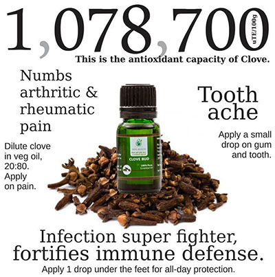 clove bud essential oil uses